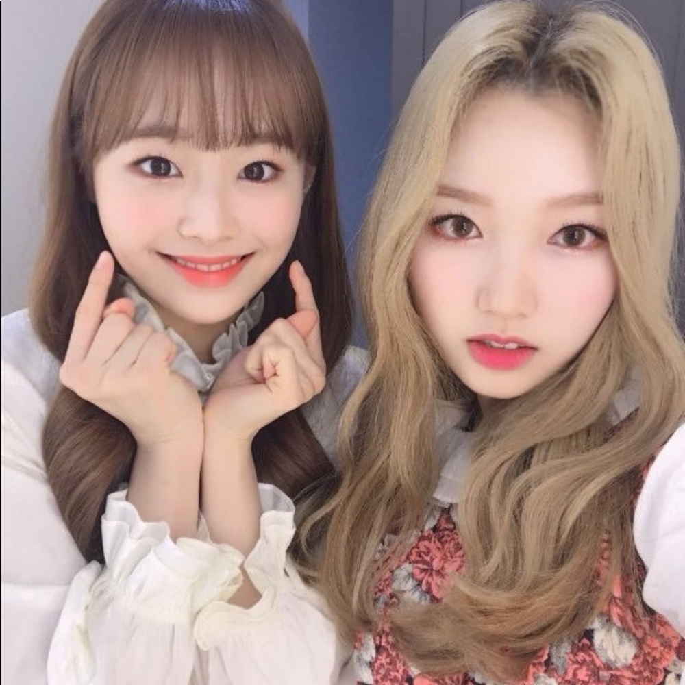 Meet your Posher, Maxwell